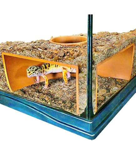HIDEOUT DAC National Geographic おまけ付 Amazon.com: SDVantage Cave Hideout, Reptile Cave Box Habitat